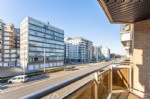 ScaliniC2-12.jpg (26/016)