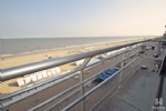 SeaFlowerA6-10w.jpg (25/014)