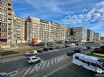 ZeebriesB2-10w.jpg (26/010)
