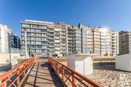 HAB-1040-16-b088a03c-432b-48e9-a1e6-80d69c918767.jpg (SILVERSA/0801)