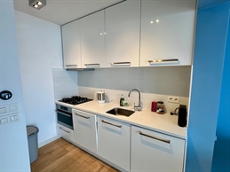 HAB-1040-9-66ad7a63-b16c-4a04-85d5-7214320c2ef2.jpg (SILVERSA/0801)