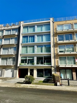 HAB-3059-18-fa81d5f9-eb3a-4f69-9148-a71fee887ad4.jpg (PICKWICK/0101)